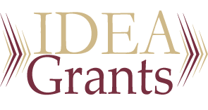 IDEA logo IDEA logo