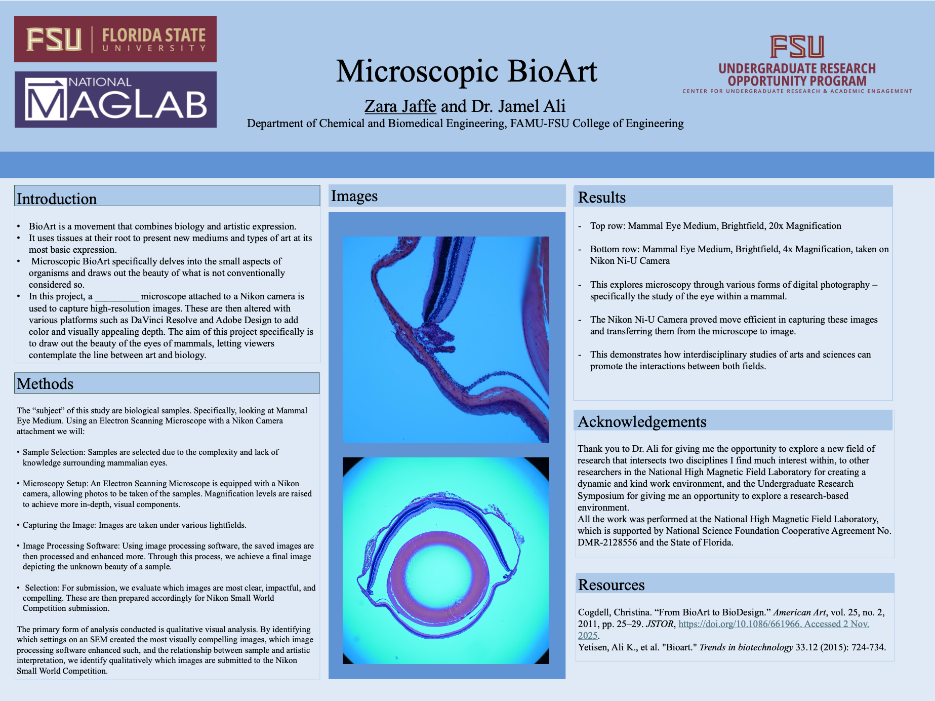 Screenshot 2026-03-11 at 3.13.29 PM.png