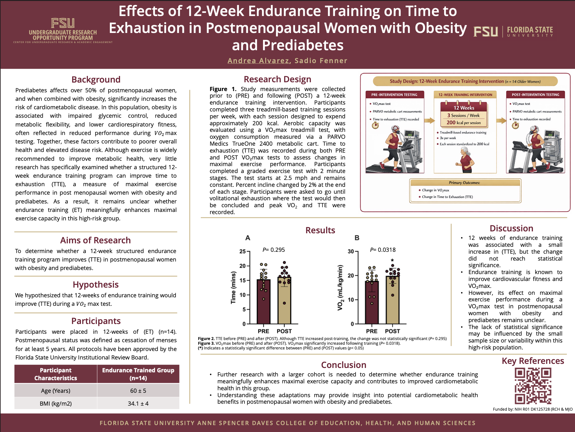 Poster screenshot.png