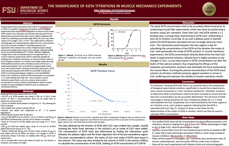 UROP Symposium Poster Thumbnail.png