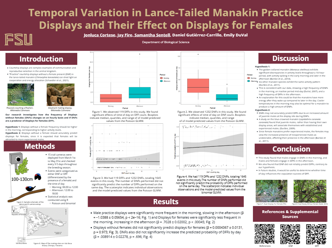 Screenshot 2026-03-11 215346.png