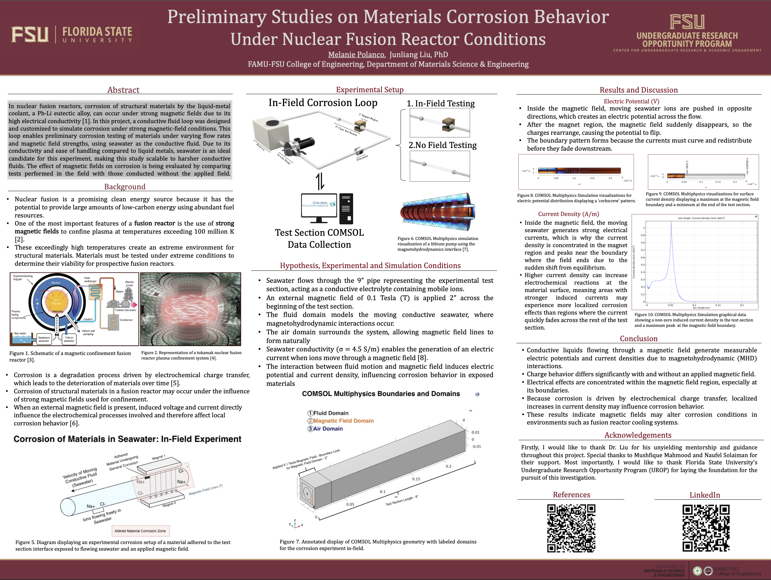 Preliminary Studies on Materials Corrosion Behavior Under Nuclear Fusion Reactor Conditions.png