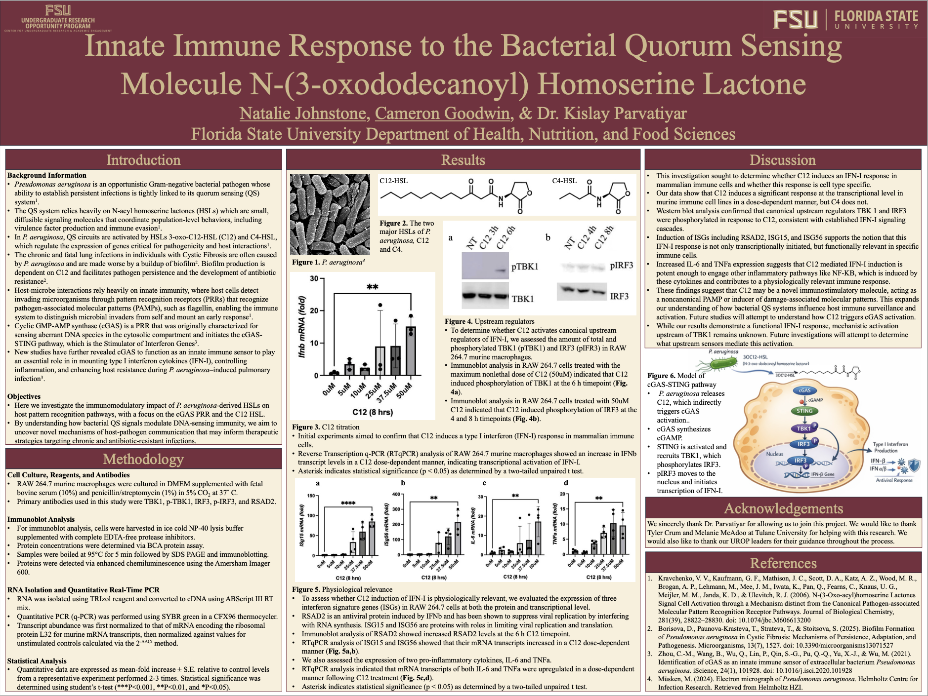 Screenshot 2026-03-12 at 1.38.24 PM.png