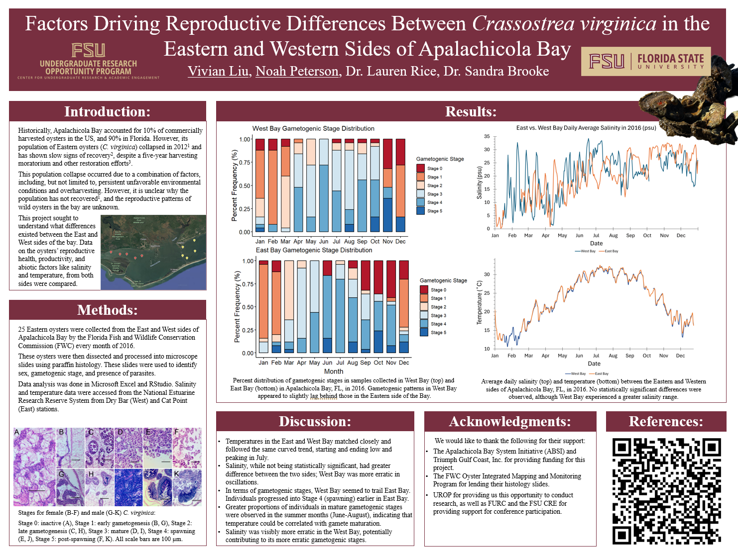 Screenshot 2026-03-12 144644.png