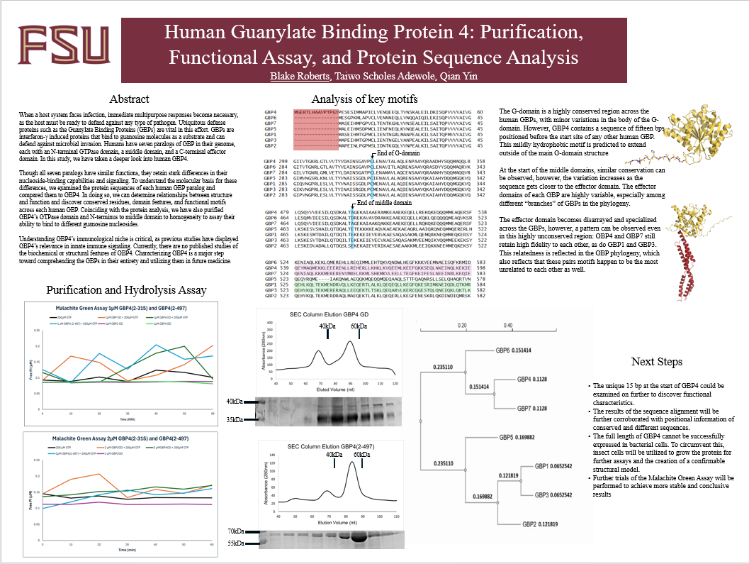 Screenshot 2026-03-12 163609.png