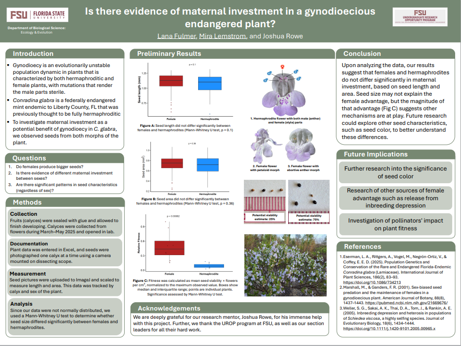 Screenshot 2026-03-11 222734.png