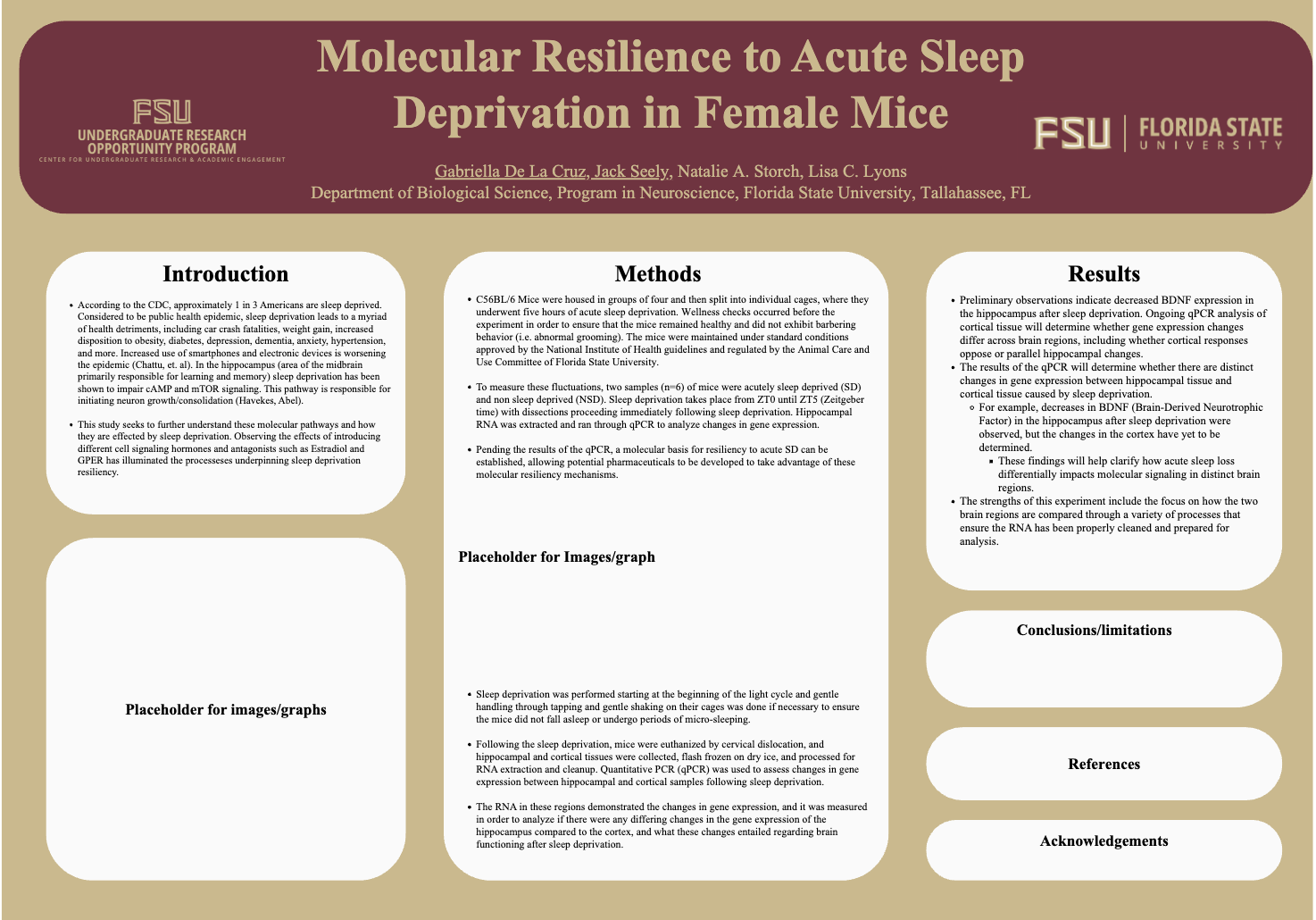 Screenshot 2026-03-12 at 6.09.18 PM.png