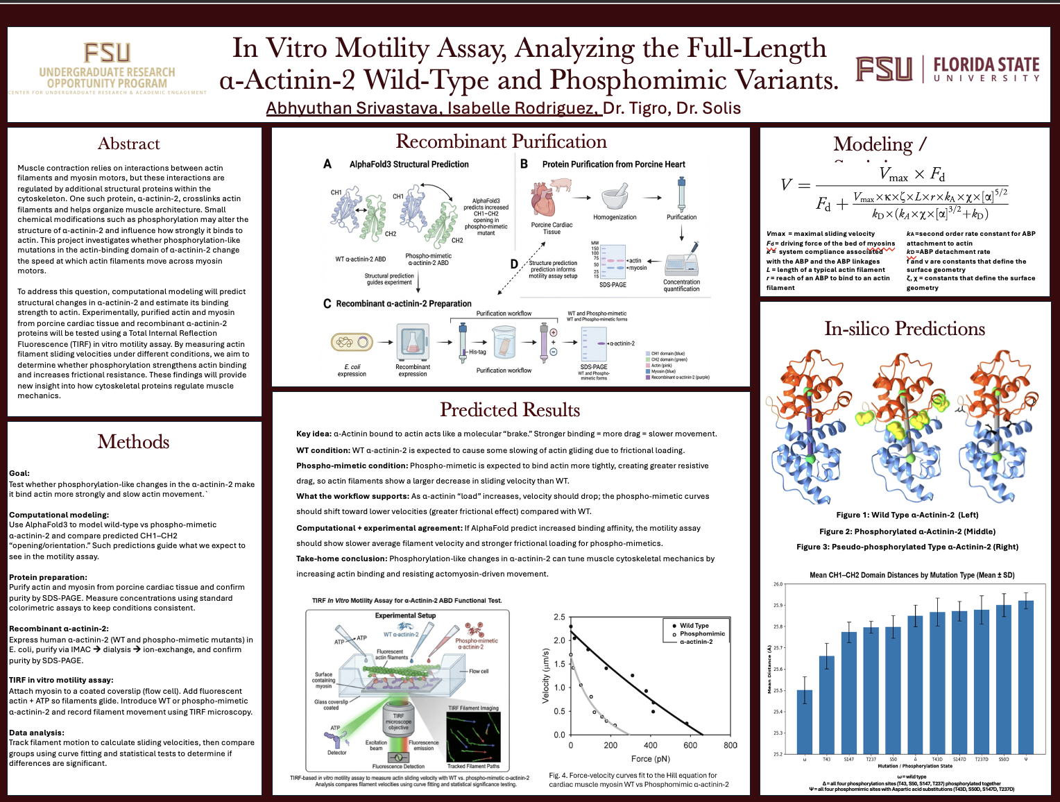 Screenshot 2026-03-12 at 7.09.41 PM.png