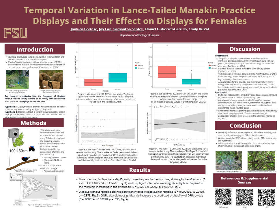 Screenshot 2026-03-12 192907.png