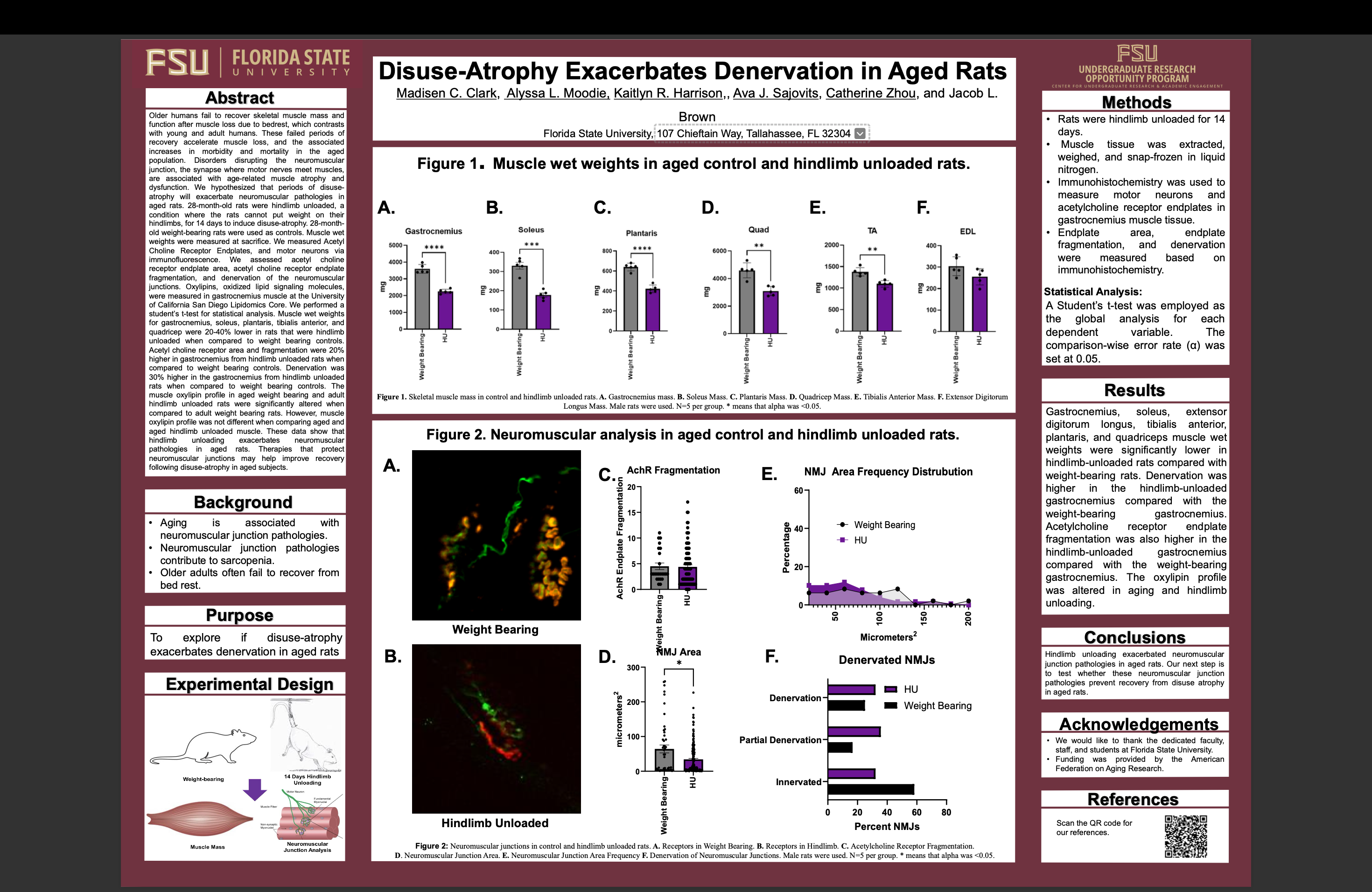 Screenshot 2026-03-12 at 7.46.24 PM.png