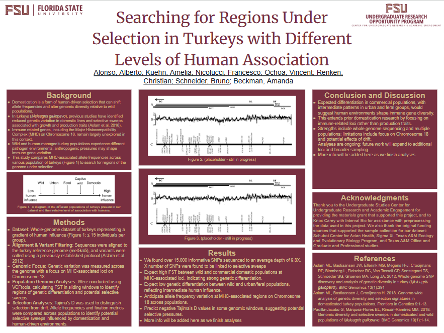 Screenshot 2026-03-12 200235.png