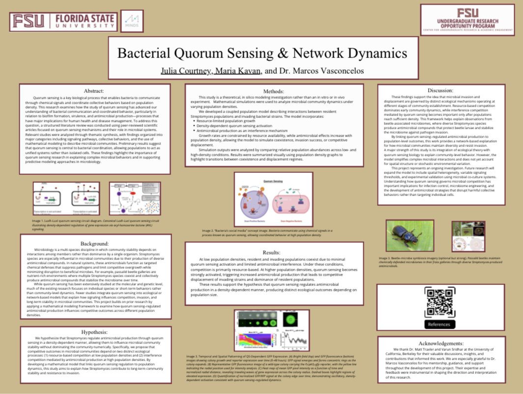 Poster Screenshot.png