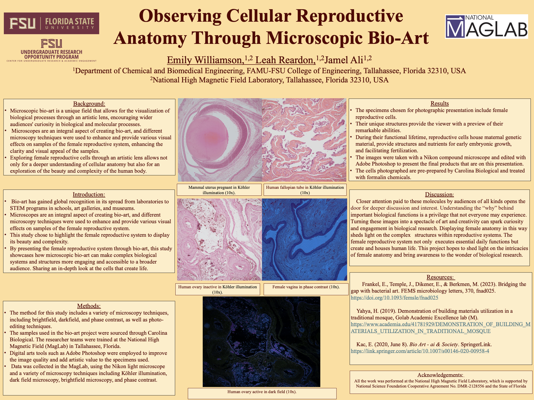 Screenshot 2026-03-12 at 10.18.00 PM.png