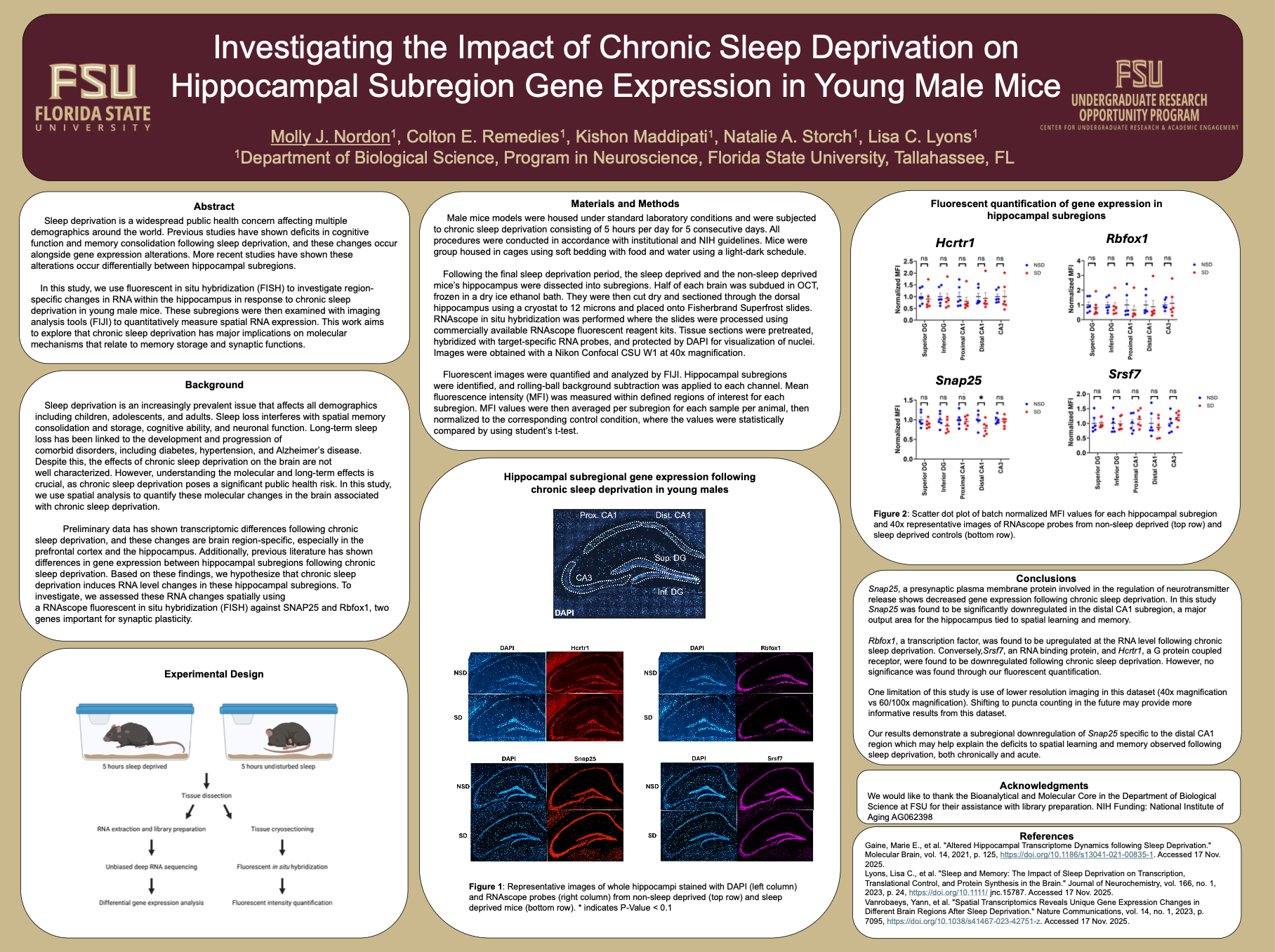 Screenshot 2026-03-12 at 10.34.55 PM.png