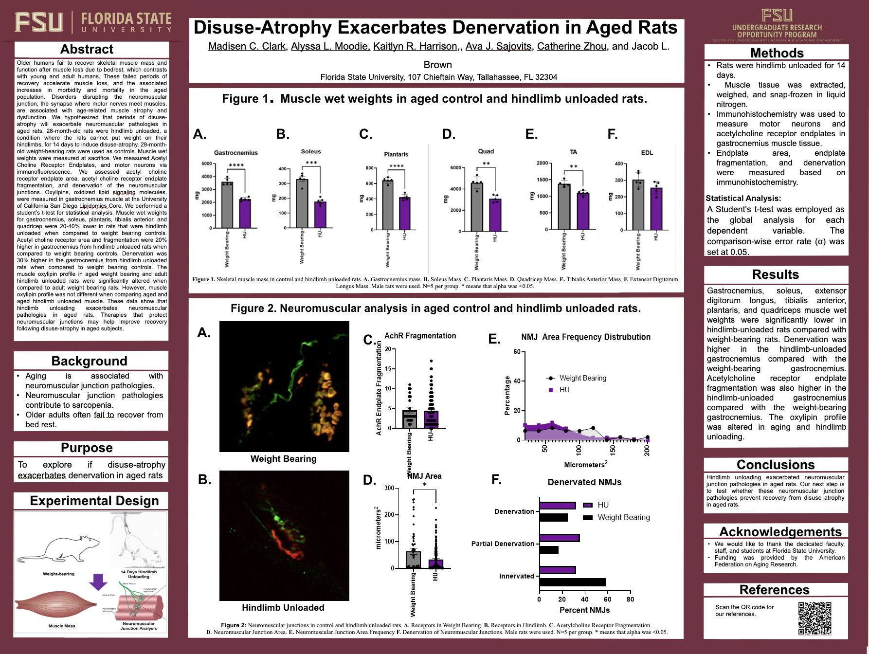 Screenshot 2026-03-12 at 11.11.52 PM.png