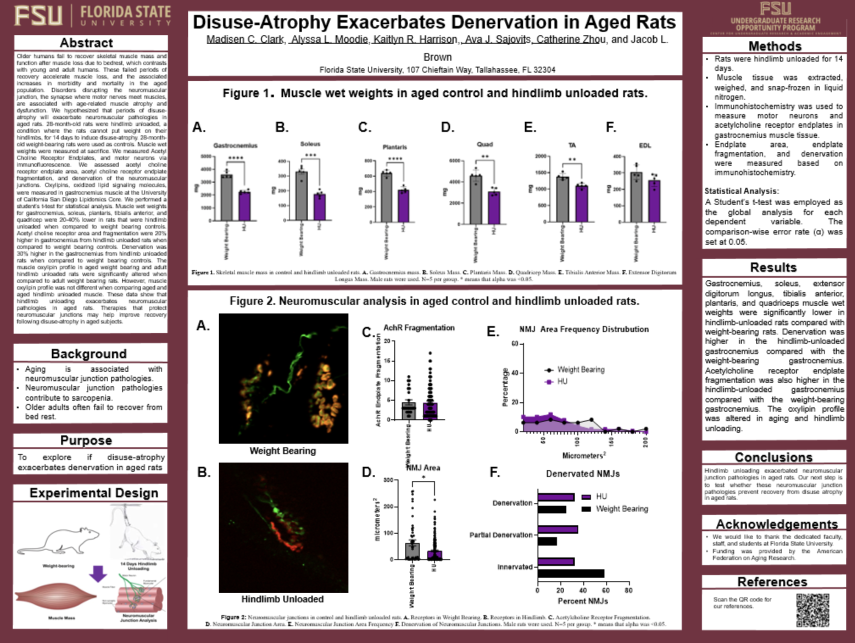 Screenshot 2026-03-12 at 11.31.49 PM.png