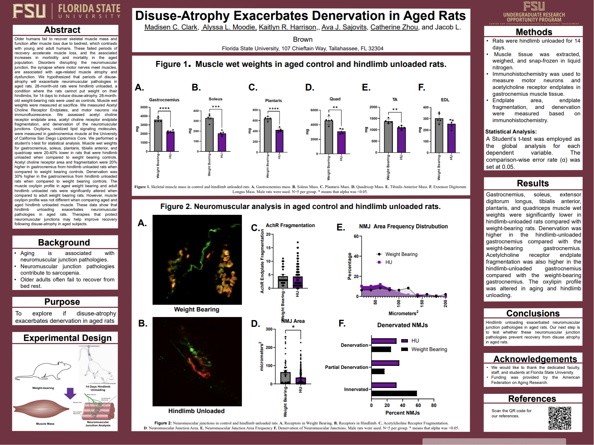 Screenshot 2026-03-12 at 11.19.01 PM.png