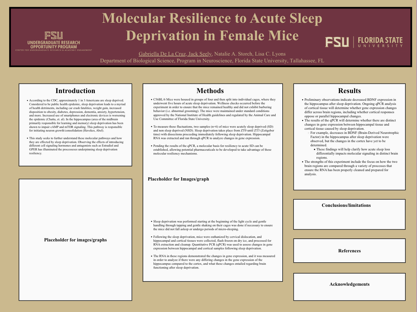 Screenshot 2026-03-12 at 11.51.52 PM.png