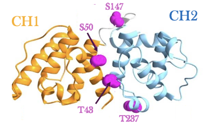 Screenshot 2026-03-13 at 1.36.25 PM.png