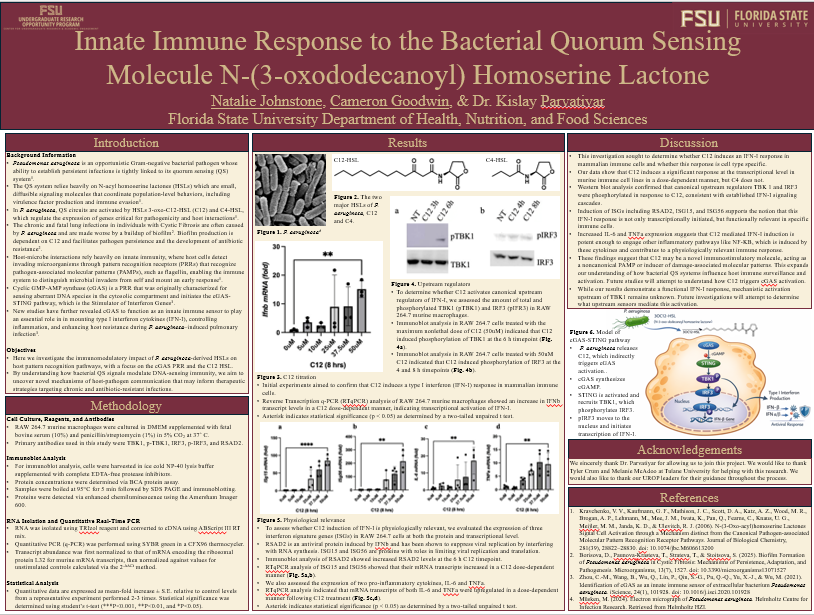 Screenshot 2026-03-13 190723.png