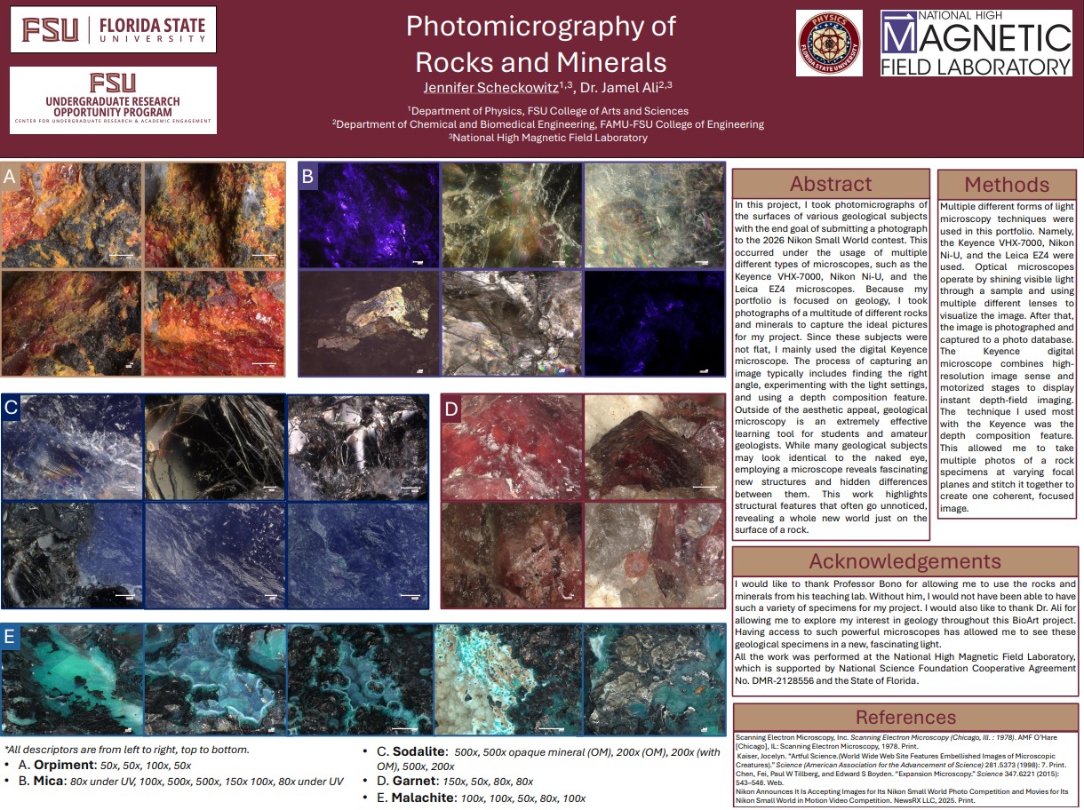 poster thumbnail.jpg