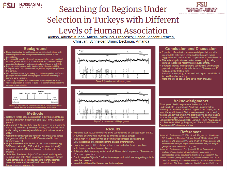 Screenshot 2026-03-13 134925.png