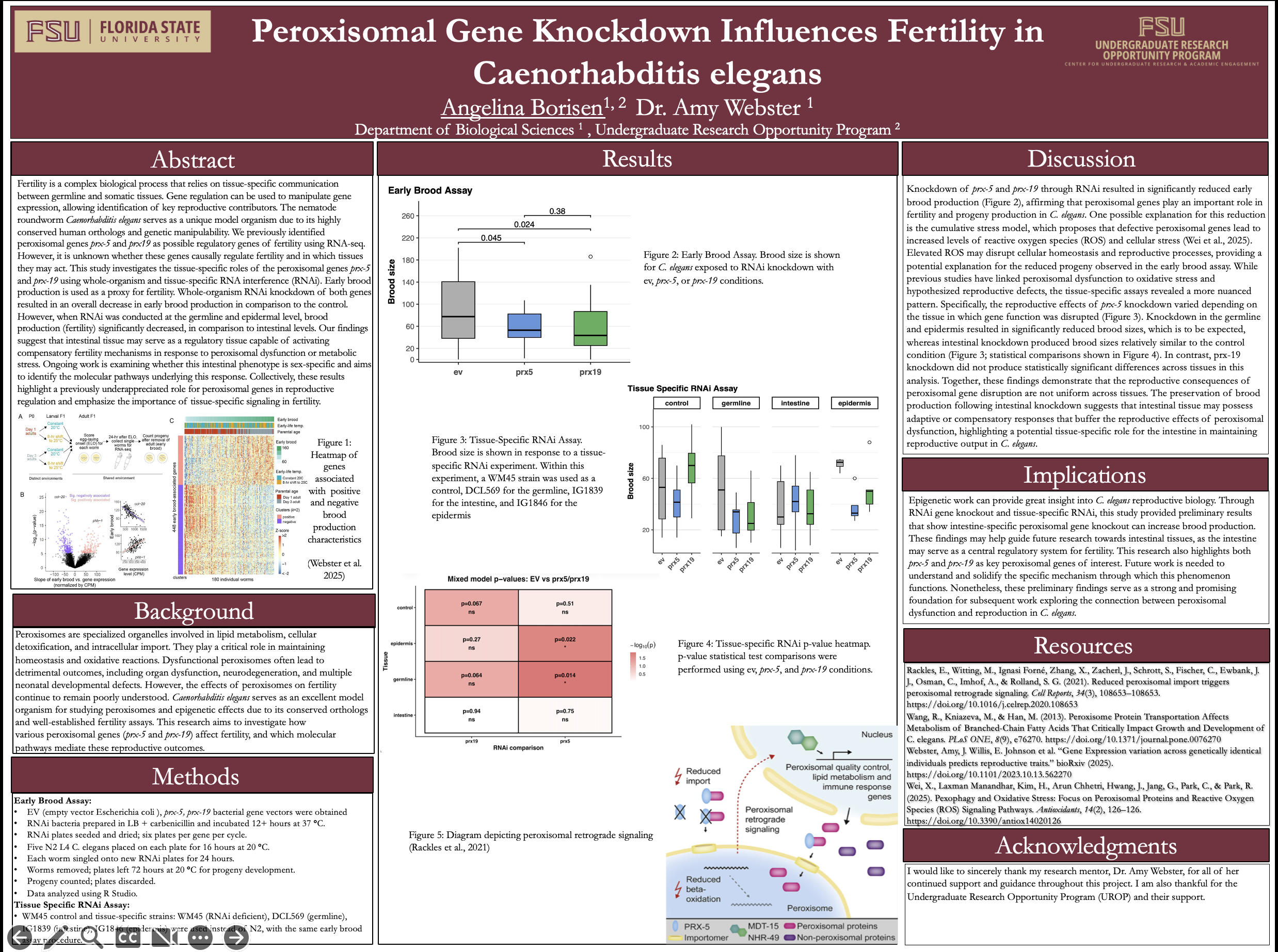 Screenshot 2026-03-18 at 8.31.09 PM.png