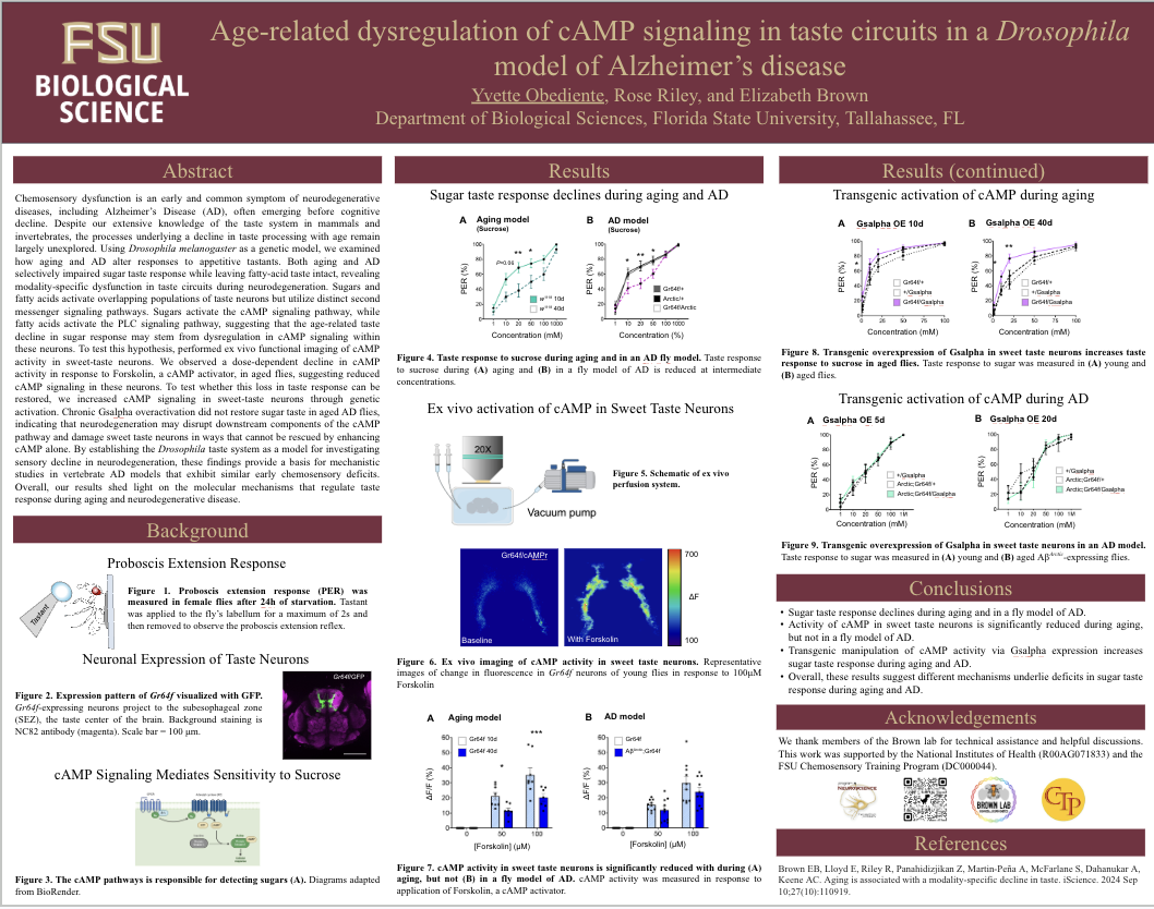 Screenshot 2026-03-18 at 9.19.06 PM.png