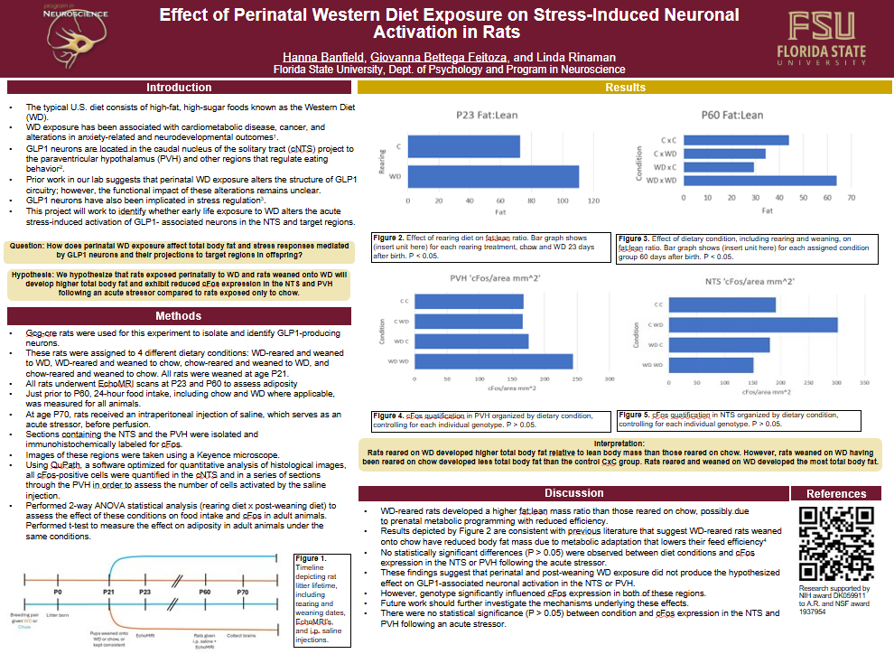 Screenshot 2026-03-18 225053.png