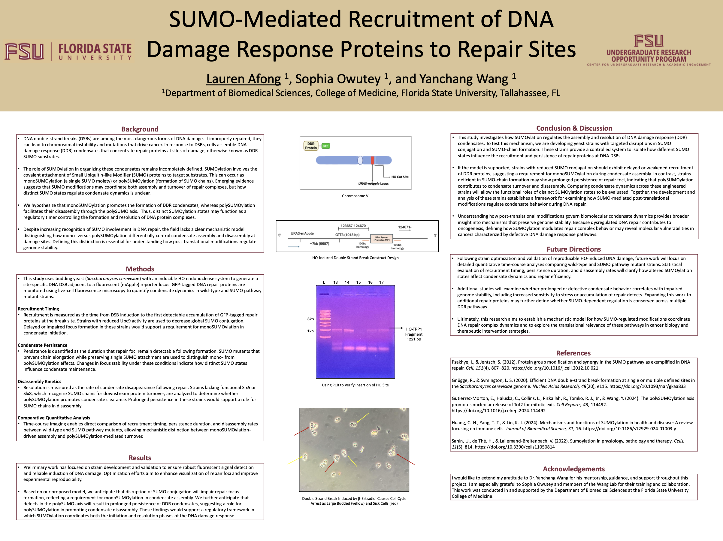 Screenshot 2026-03-22 at 1.46.09 PM.png