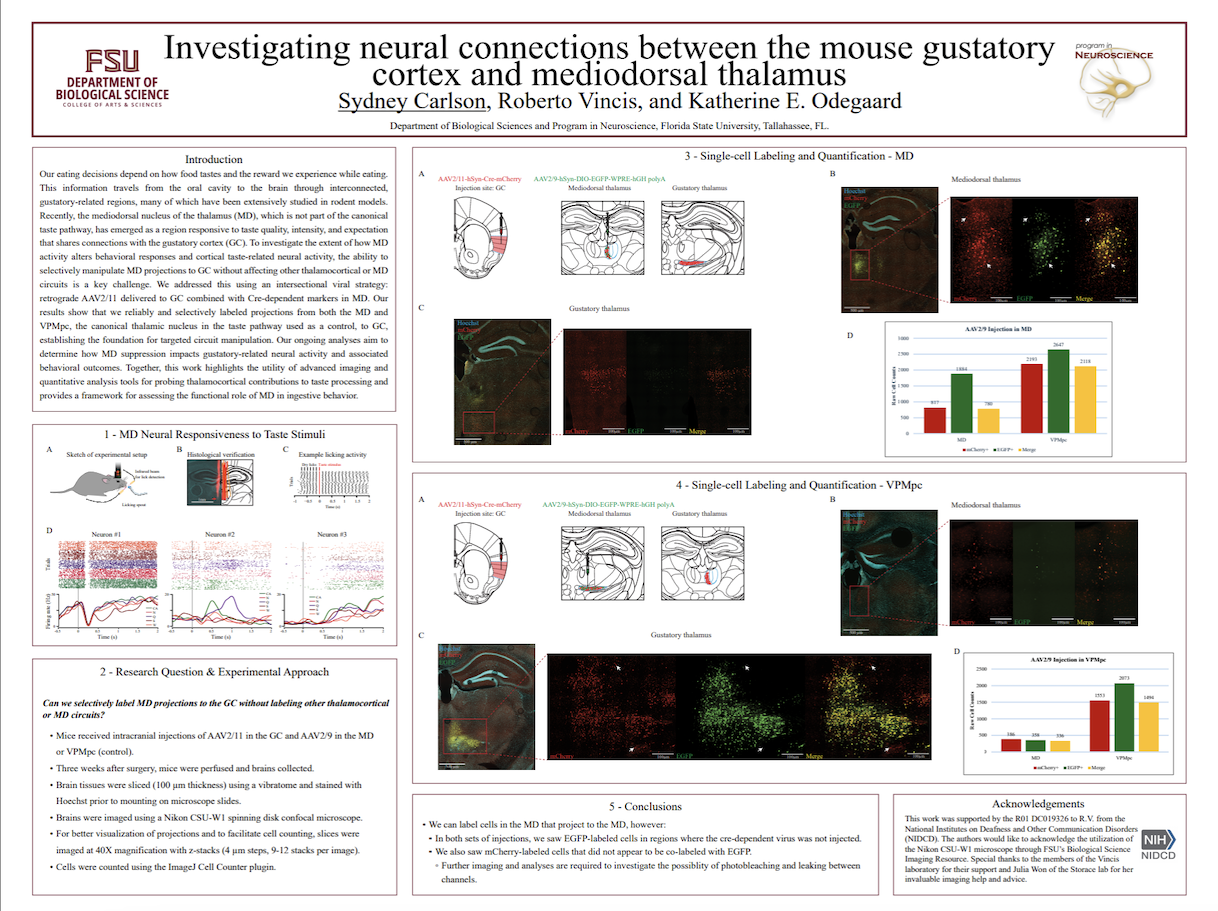 Screenshot 2026-03-25 at 12.35.59 PM.png