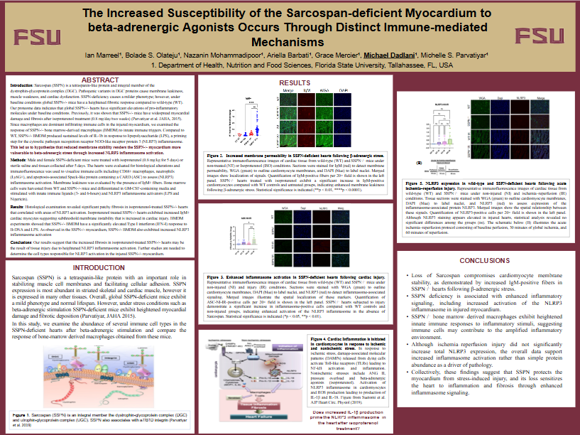 SSPN Poster Screenshot.png