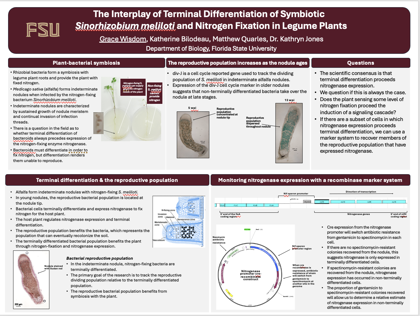 Screenshot 2026-03-25 at 6.51.44 PM.png