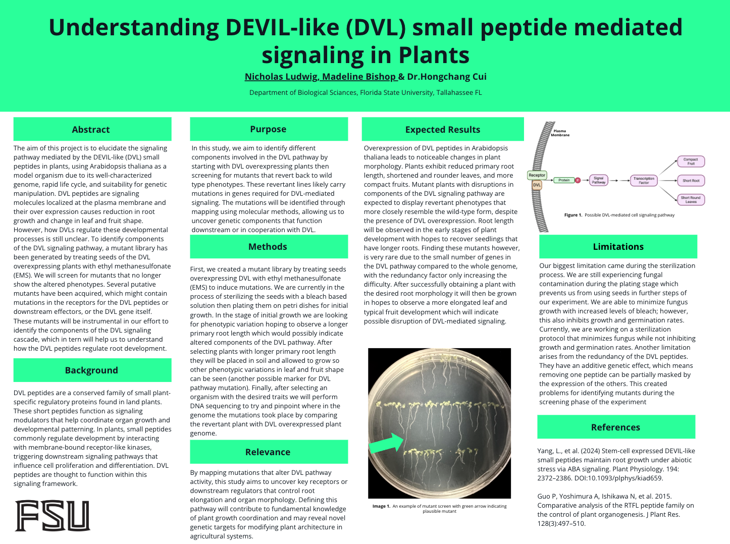 Screenshot 2026-03-27 at 9.13.52 AM.png